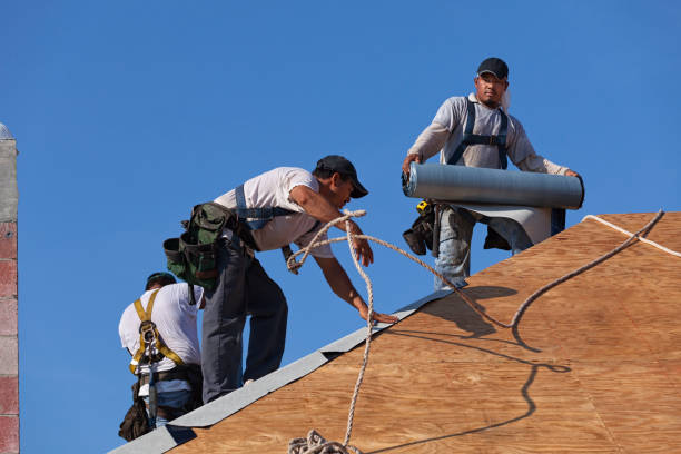 Best Sealant for Roof  in Inez, TX